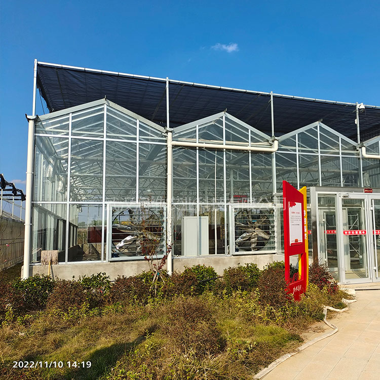红安苕业玻璃温室大棚
