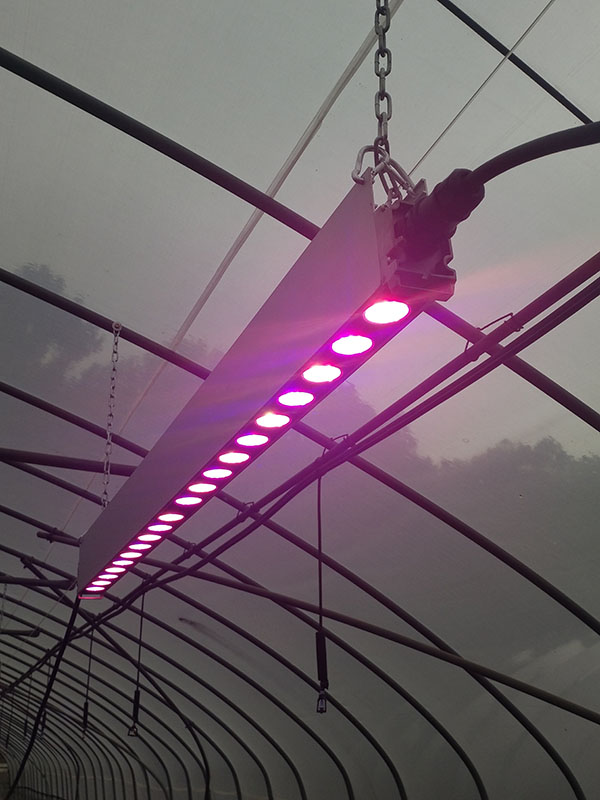 大功率LED植物生长灯.jpg